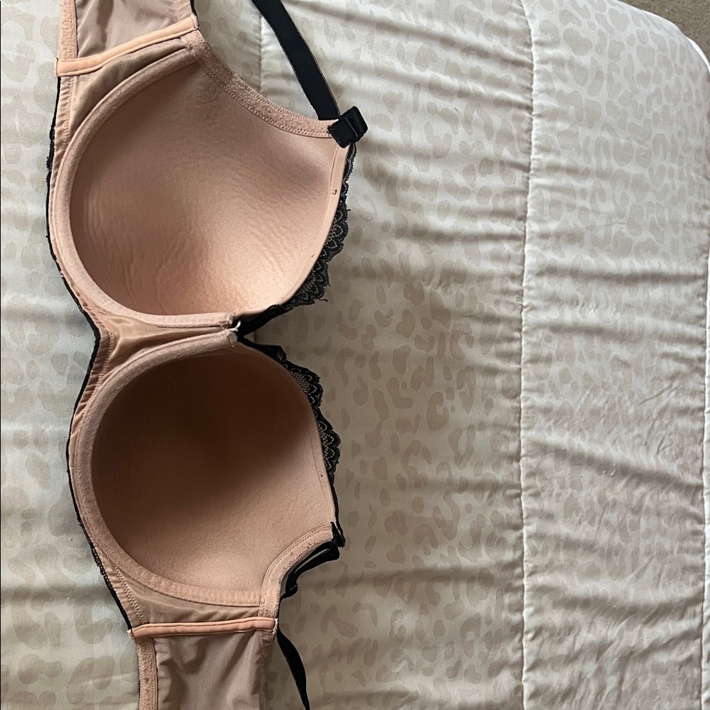 Chic Lace Accent Bra in Nude and Black